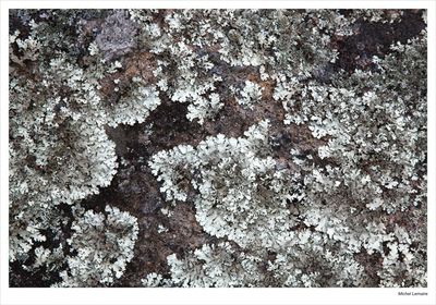 Rocks