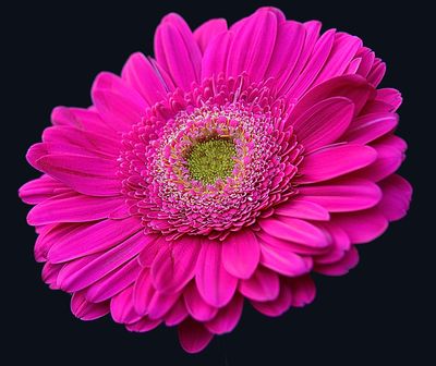 g13/42/822742/3/173187422.7d5fae0f.JPEG