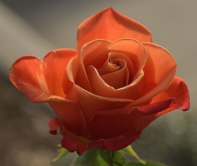 g13/42/822742/3/173379507.42c1bb9e.JPEG