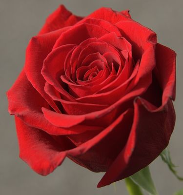 g13/42/822742/3/173429188.bebf61fc.JPEG