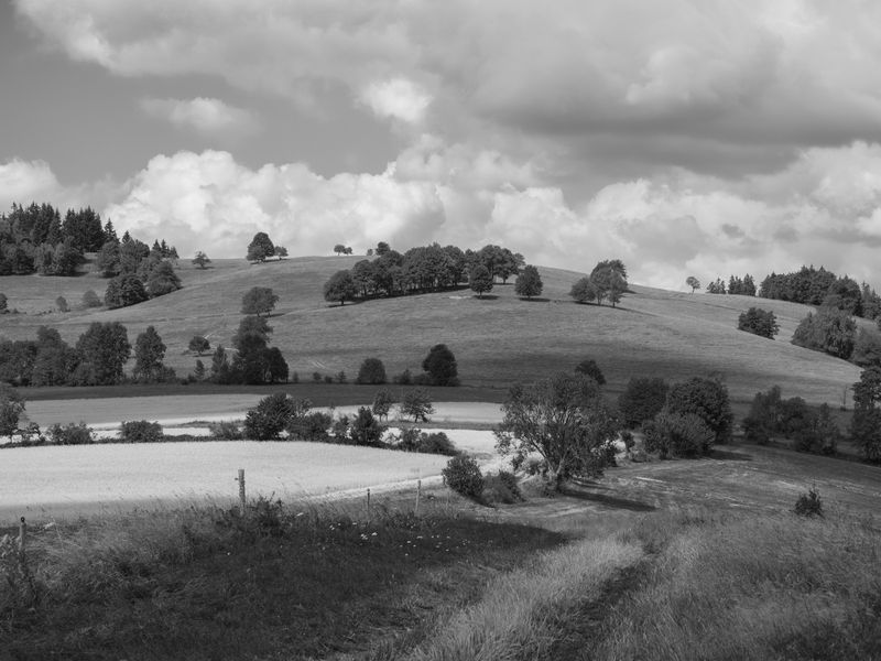 P1170205-Edit.jpg