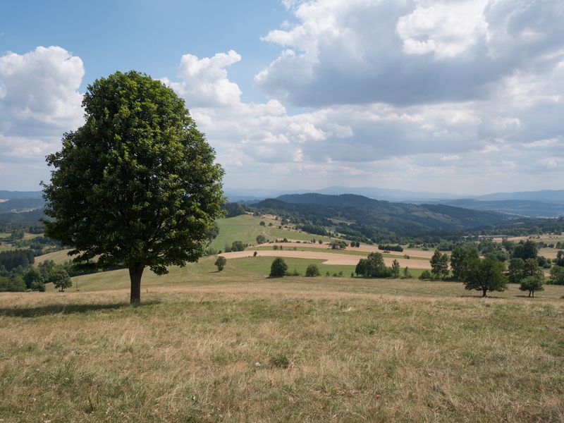 P1170225.jpg