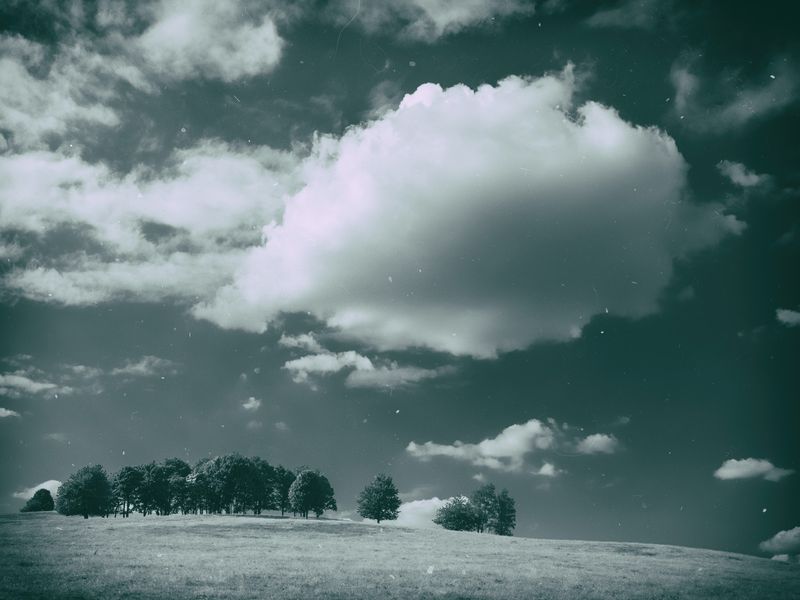 P1170285-Edit-2-Edit.jpg