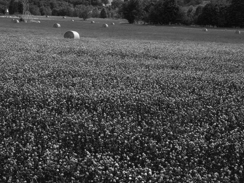 P1170286-Edit.jpg