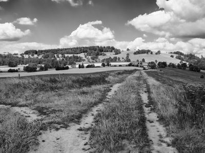 P1170201-Edit.jpg