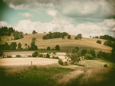 P1170205-Edit-2.jpg
