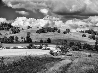 P1170205-Edit-3.jpg