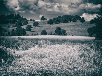 P1170209-Edit-Edit.jpg