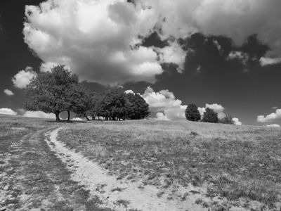 P1170223-Edit.jpg