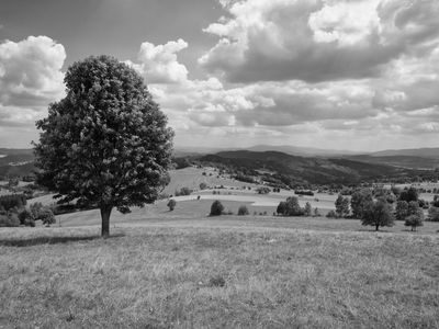 P1170225-Edit.jpg