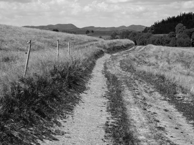P1170235-Edit-4-2.jpg
