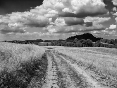 P1170237-Edit.jpg