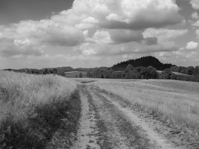 P1170237-Edit-2-Edit.jpg