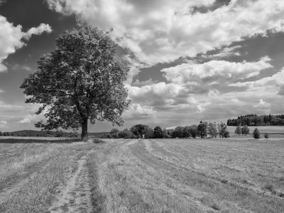 P1170242-Edit-Edit.jpg