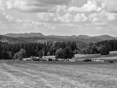 P1170247-Edit.jpg