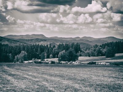P1170247-Edit-Edit.jpg