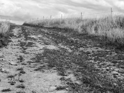 P1170271-Edit.jpg
