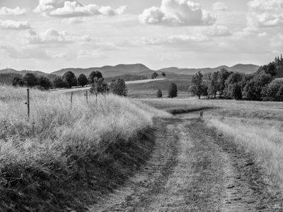 P1170273-Edit.jpg