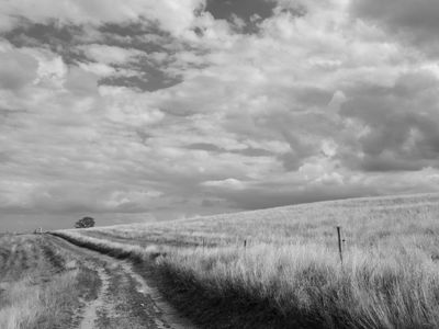 P1170276-Edit.jpg