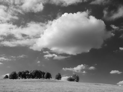 P1170285-Edit-2.jpg