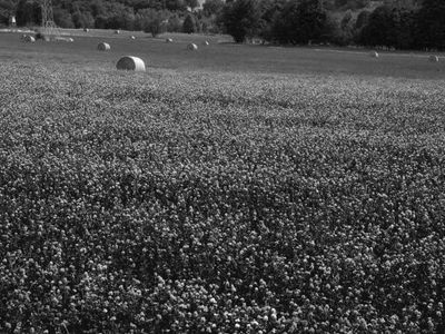 P1170286-Edit.jpg