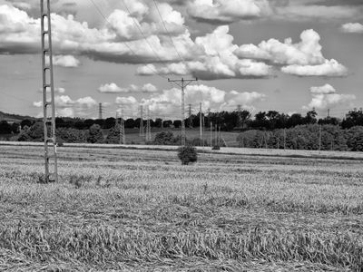 P1180065-Edit.jpg