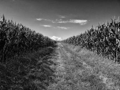 P1180068-Edit.jpg