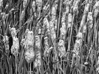 P1180074-Edit.jpg