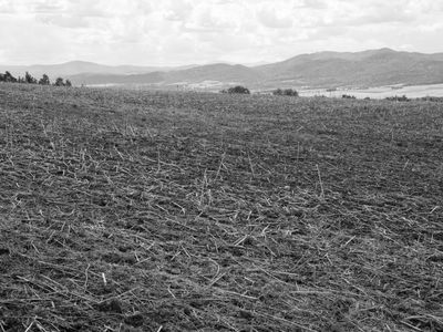 P1180107-Edit.jpg