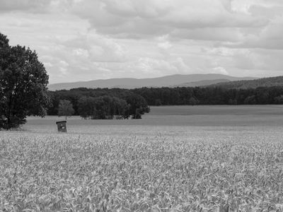 P1180131-Edit-2-Edit.jpg