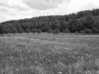 P1180151-Edit.jpg