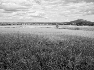 P1180154-Edit.jpg