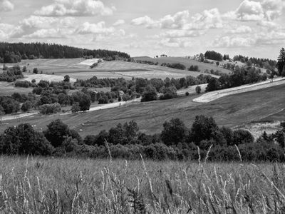 P1170844-Edit.jpg