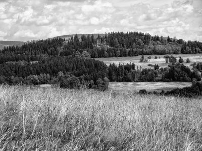 P1170845-Edit.jpg