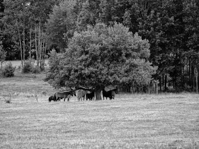 P1170862-Edit.jpg