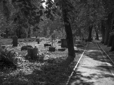 P1180049-Edit.jpg