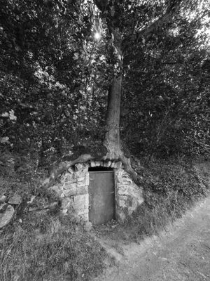P1170907-Edit.jpg