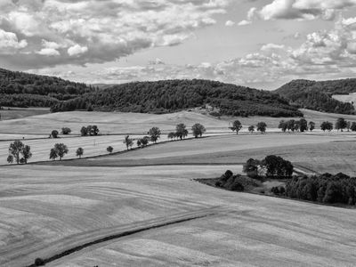 P1170931-Edit.jpg