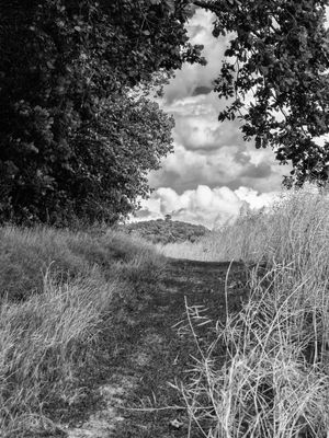 P1170937-Edit.jpg