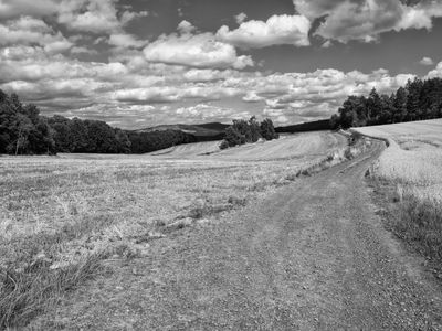 P1170958-Edit.jpg