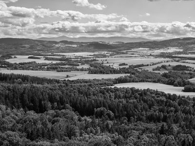 P1170984-Edit-2.jpg