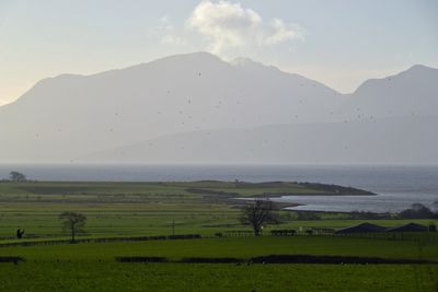 g13/43/278043/3/173288684.1f95ec7b.JPEG