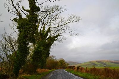 g13/43/278043/3/173296284.d9163f61.JPEG