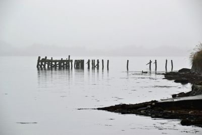 g13/43/278043/3/173359479.5d62f445.JPEG