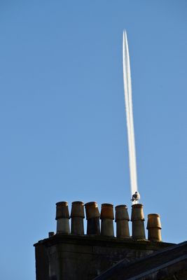g13/43/278043/3/173443941.d8ea7426.JPEG