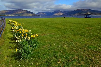 1st April