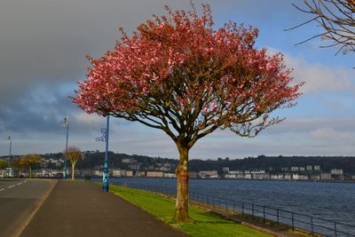 18th April