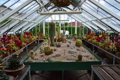 Ardencraig Gardens