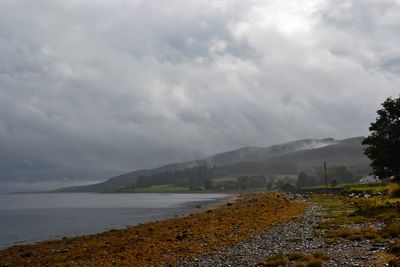 g13/43/278043/3/174836167.287d8754.JPEG