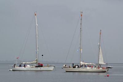 g13/43/278043/3/174837995.c06a3a35.JPEG